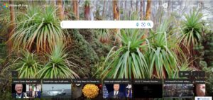 bing ads