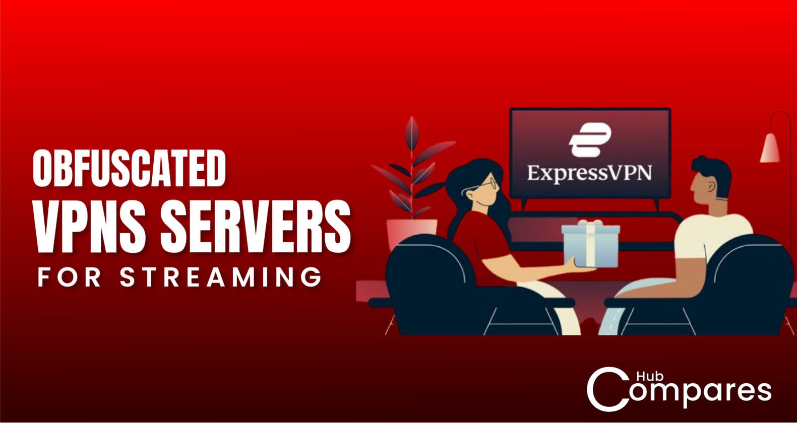 Obfuscated VPN Servers For Streaming